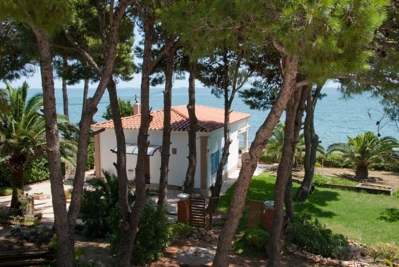 Sargantana Blava Villa Sant Carles de la Ràpita Exterior photo